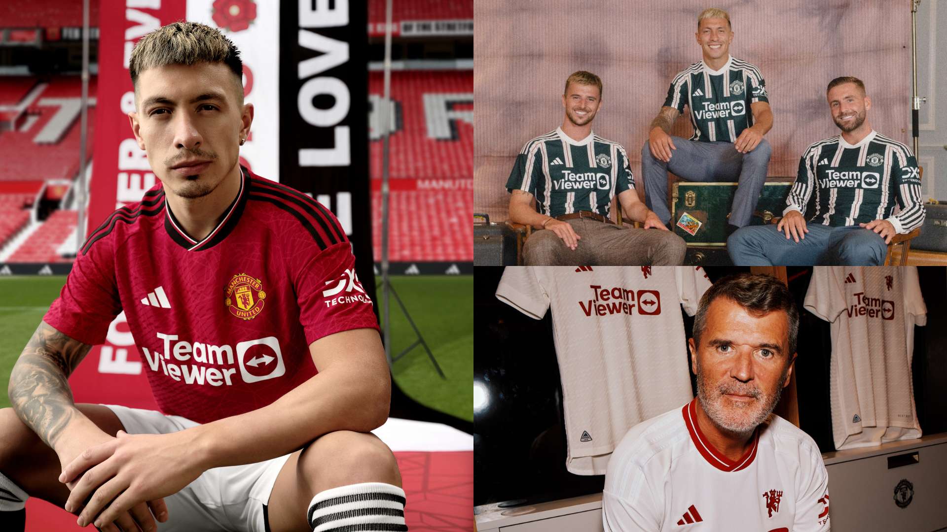 素的综合作 素的综合作