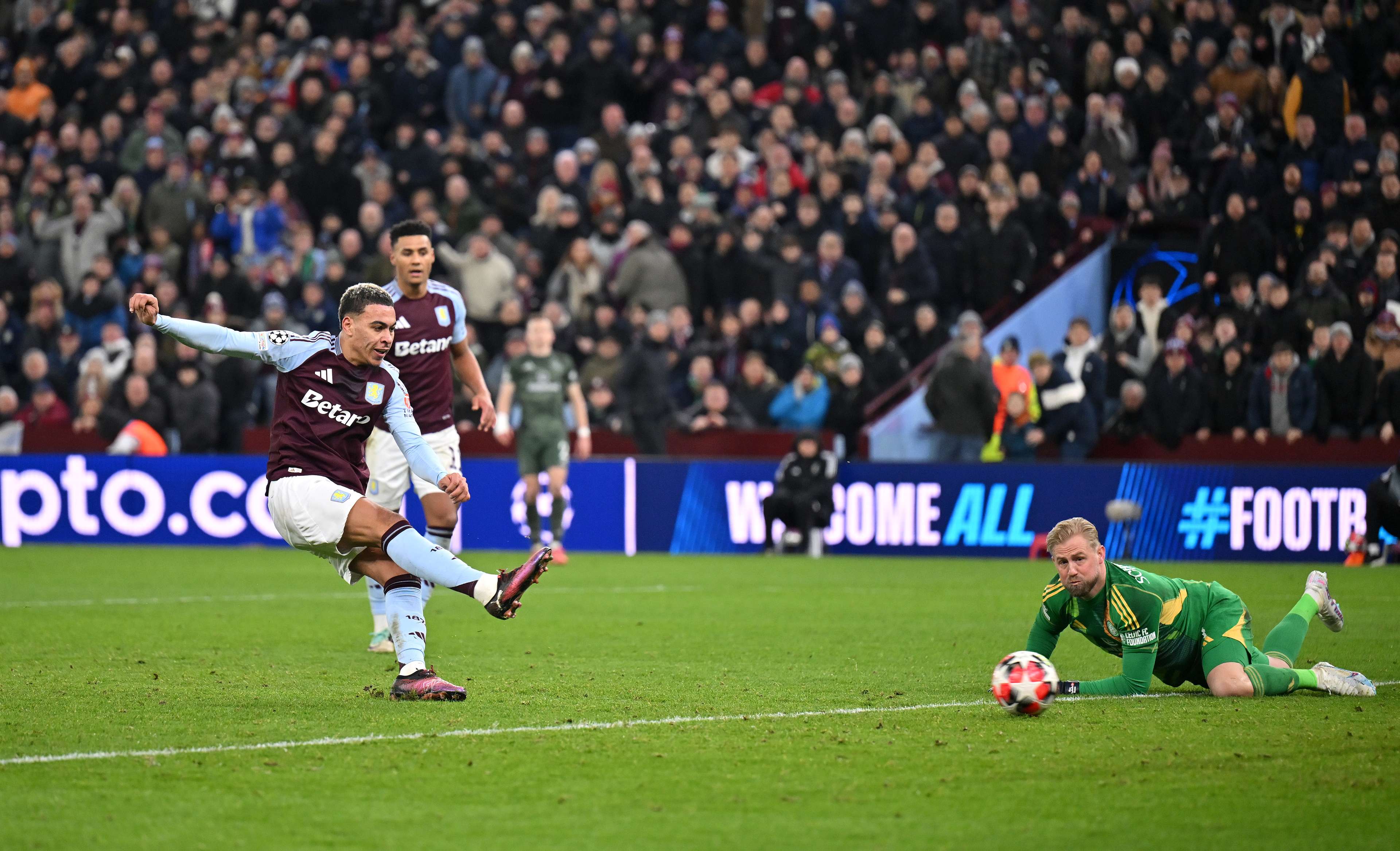 调整与适应 调整与适应