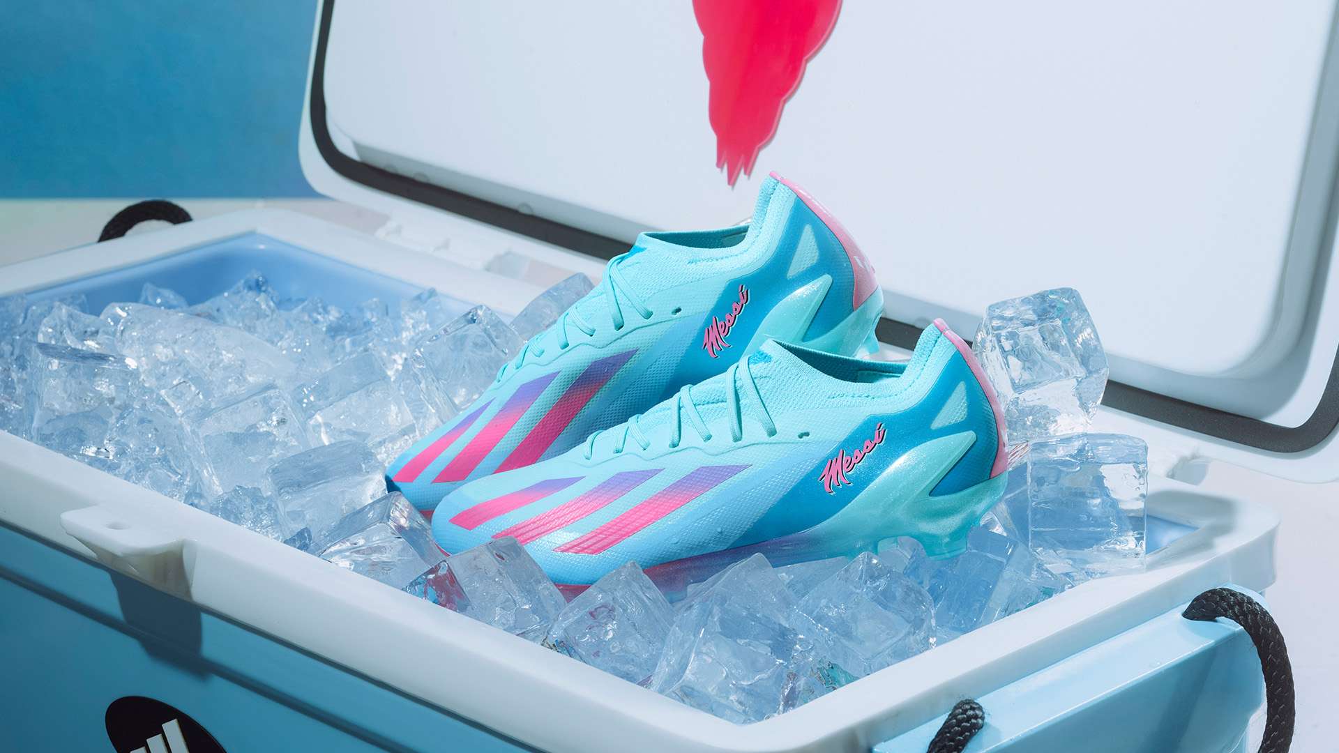 往往需要榜 往往需要榜